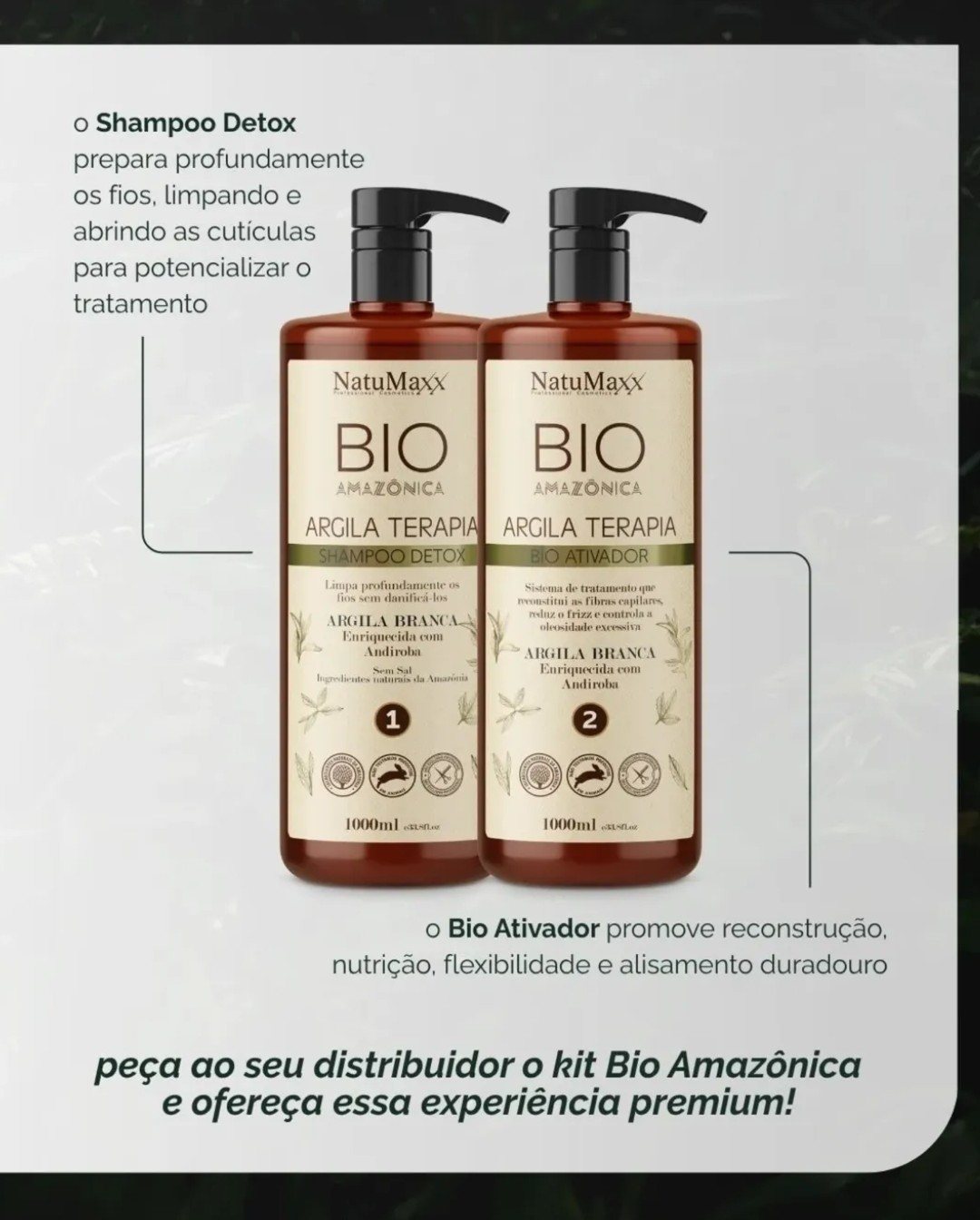 Bio Amazônica, slide 3
