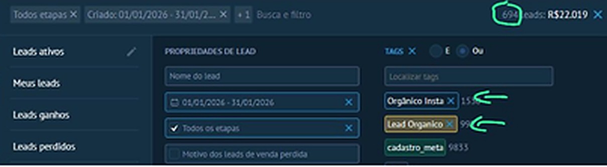 Print do CRM com os leads orgânicos de janeiro